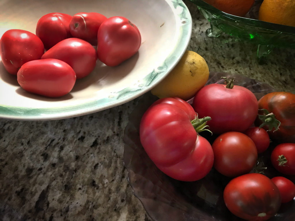 Tomatoes-Autumn-2017