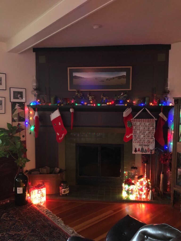 The stocking were hung by the chimney with care